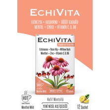 Echivita Ekinezya Kuşburnu Kış İçeceği