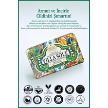 Nesti Dante Villa Sole Fico D'india Di Taormina Katı Sabun 250gr | Canlandırıcı | Armut, Incir Özü