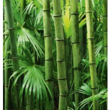 Home Revolution Bambu Yorgan (155x215 Tek Kişilik) Çantalı