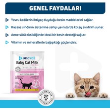 onevet Yavru Kedi Süt Tozu Şase | Emziren Anne Ve Yavru Kediler İçin 30 x 5 gr