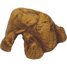 Exo Terra Sürüngen Mağarası (M)