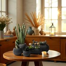 Melkan Home Dekoratif Saksı Seti 5 Parça Modern Saksılar, Kaktüs Sukulent ve Dekoratif Çiçek Saksıları