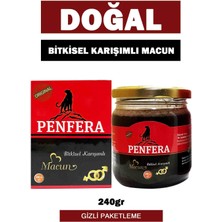 Penfera Ballı Karışım 2kutu 240 gr.
