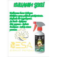 Böcek Ilacı 500 ml Hazır Sprey Yeşil Yaprak Biti Unlu Bit Pire (Bitkiler Için)