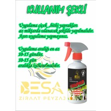 Çiçekli-Çiçeksiz (Yeşil Yapraklı Salon Çiçekleri)Için Özel Besin 500 ml Hazır Sprey Şımartan-Çoşturn