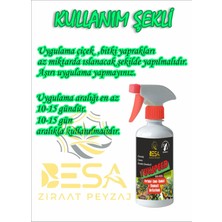 Portakal-Limon-Kamkat(Kumkuat) Için Özel Besin 500 ml Hazır Sprey Çiçek Şımartan - Çoşturan