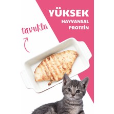 Herbamax Gelişim Destekleyici Özellikte Tavuklu ve Pirinçli Yavru Kedi Maması 20kg (2X10kg)