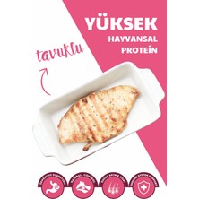 Carnaval Tavuklu Yavru Kedi Maması 3 kg (2x1.5kg)