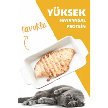 Herbamax Yaşam Kalitesini Arttırıcı Özellikte Tavuklu Kedi Maması  20kg (2X10kg)
