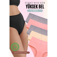 Red İç Giyim Yüksek Bel Büyük Beden Pamuklu Bato Kadın Külot 5'li Paket (Battal Boy)