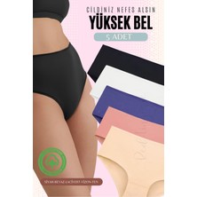 Red İç Giyim Yüksek Bel Büyük Beden Pamuklu Bato Kadın Külot 5'li Paket (Battal Boy)