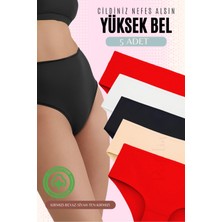 Red İç Giyim Yüksek Bel Büyük Beden Pamuklu Bato Kadın Külot 5'li Paket (Battal Boy)