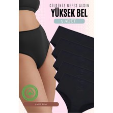 Red İç Giyim Yüksek Bel Büyük Beden Pamuklu Bato Kadın Külot 5'li Paket (Battal Boy)