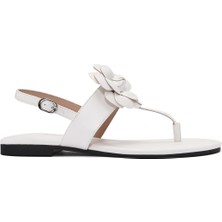 Derimod Kadın Krem Çiçek Detaylı Parmak Arası Sandalet 25SFE401218