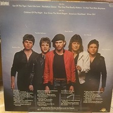 Alp Plak Survivor – Eye Of The Tiger - Plak Lp