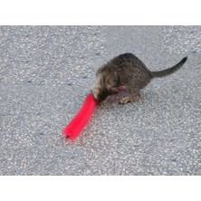 Ozcmax Kedi Tırmalama Fırçası - Kedi Oyuncağı