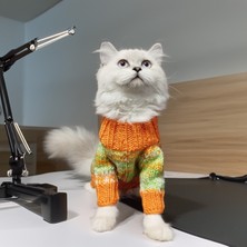 Lady Fify Kedi Köpek İçin Turuncu Kırçıllı Kazak