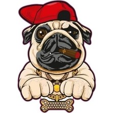 Gogo 75X100MM Rap Köpek