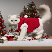 Lady Fify Kedi Köpek için Kapüşonlu Noel Baba Kostümü