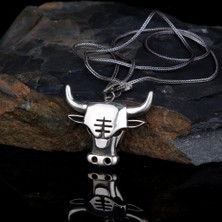 Takıhan 925 Ayar Gümüş Boğa Motifli Madalyon Kolye