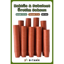 Kaktüs - Sukulent - Bitki Üretim Saksısı, 5,5 Cm, 500 Adet
