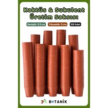 Kaktüs - Sukulent - Bitki Üretim Saksısı, 5,5 Cm, 100 Adet
