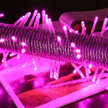10 Metre Pembe LED Işık Pembe Ip LED Işık Kablo Işık 220V Fişli Işık Dekorasyon Işığı Pembe Noel Işığı