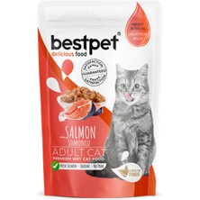 Bestpet 85 gr x 24 Adet Yetişkin Kediler Için, Tahılsız, Jöle Içinde Somon Parça Etli Yaş Mama 11