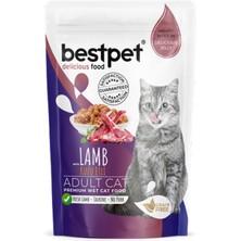 Bestpet 85 gr x 24 Adet  Yetişkin Kediler Için, Tahılsız, Jöle Içinde Kuzu Parça Etli Yaş Mama 11