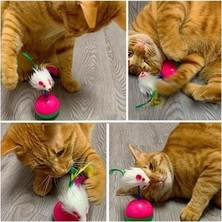 Ozcmax Kedi Oyun Topu Tüylü Fareli Hacı Yatmaz Eğitici Yavru Kedi Fare Kovalama Oyuncağı