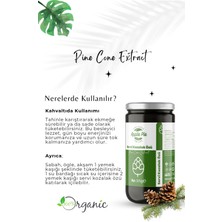 Applepiefoods Servi Kozalak Özü 315 gr , Yoğun Kıvam , Katkısız , Glutensiz , Vegan Ürün