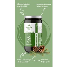 Applepiefoods Servi Kozalak Özü 315 gr , Yoğun Kıvam , Katkısız , Glutensiz , Vegan Ürün