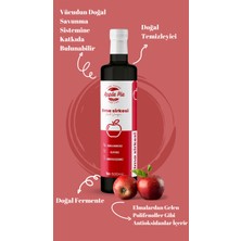 Applepiefoods Elma Sirkesi Net 500 ml , Doğal Fermantasyon , Apple Cider Vinegar