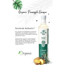 Applepiefoods Ananas Sirkesi 500 ml , Doğal Fermantasyon , Taze Üretim , Pineapple Vinegar