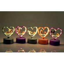 Acornbella Masa Üstü Ledli Lamba