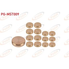 PUGA-PG-MST009 - Motor Su Blok Tapası Takım Sarı Pırınc Kıa Bongo