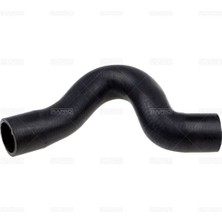 RAPRO-25524 - Radyator Alt Hortumu (Vw: Transporter V 2.5tdı 03-10)