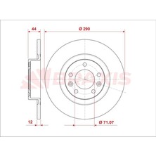 BRAXIS-AE0811 - Fren Dıskı Arka 508 10> Duz 289.7MM