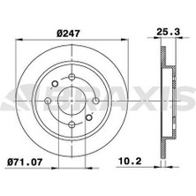 BRAXIS-AE0097 - Arka Fren Dısk Aynası P106 P206 P306 Xsara Xsara Iı Zx Saxo 1.8 2.0 2.0ı 2.0gtı (Hava Sogutmasız)