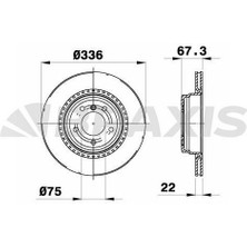 BRAXIS-AE0279 - Fren Dıskı Arka Havalı Bmw E90 E92 X1 E84