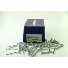 Meridyen 6X60 Vıda Snt Merdıyen (200 Ad)