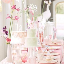 Meri Meri - Princess Plates - Prenses Tabak - L