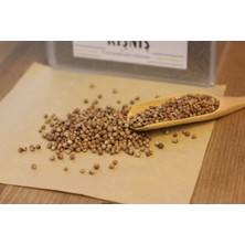 Haven Herbs & Blends Kişniş