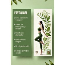 Herbaldetox StresMolası SterssGiderici Detox Bitki Çayı 50GR
