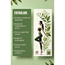 Herbaldetox SindirimDestekleyici Detox Bitki Çayı 50GR