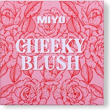 Cheeky Allık - No-2