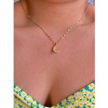 Sirius Jewelry Shop 316L Moon Hilal Kolye