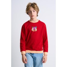 Alexander Gardi Desenli Çocuk Sweatshirt (C23-0010U)