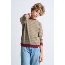 Alexandergardı Çizgili Bisiklet Yaka Çocuk Sweatshirt