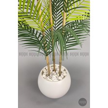 Biçiçek 120 cm  Areka Ağacı 24 Yapraklı Küre Saksıda